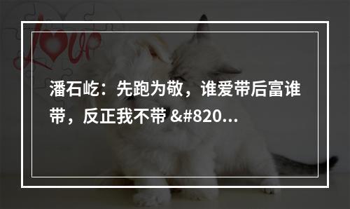 潘石屹：先跑为敬，谁爱带后富谁带，反正我不带 ​