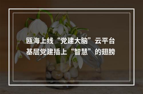 瓯海上线“党建大脑”云平台 基层党建插上“智慧”的翅膀