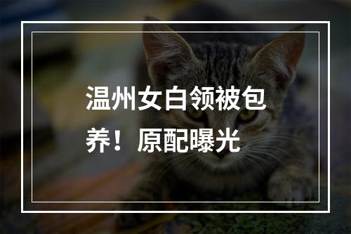 温州女白领被包养！原配曝光