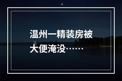 温州一精装房被大便淹没……
