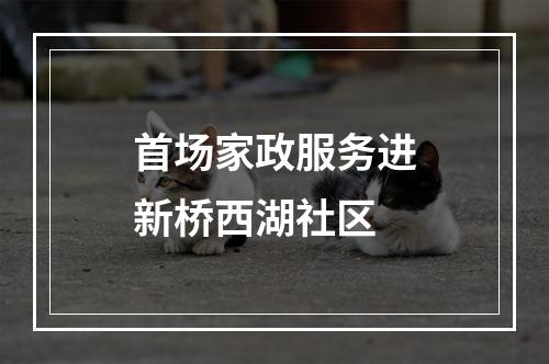 首场家政服务进新桥西湖社区