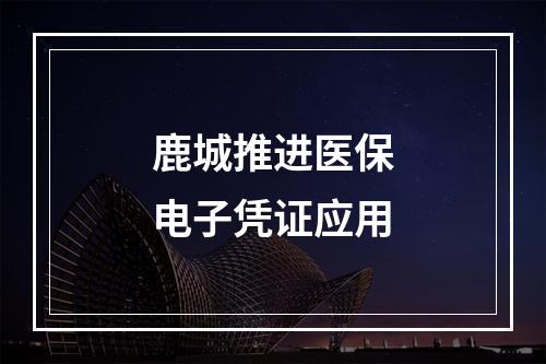 鹿城推进医保电子凭证应用