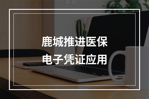 鹿城推进医保电子凭证应用
