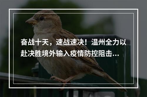 奋战十天，速战速决！温州全力以赴决胜境外输入疫情防控阻击战