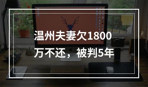 温州夫妻欠1800万不还，被判5年