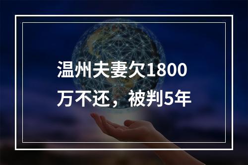 温州夫妻欠1800万不还，被判5年
