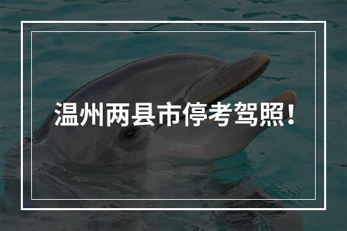 温州两县市停考驾照！