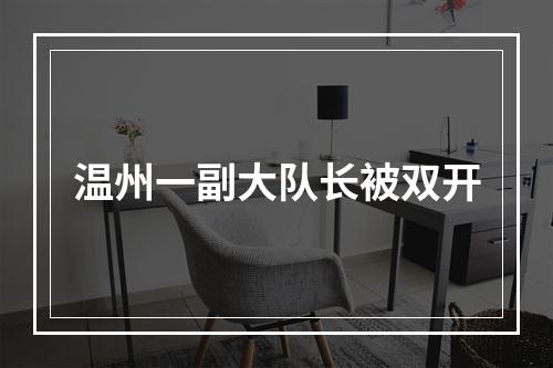 温州一副大队长被双开