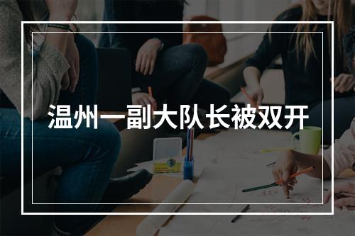 温州一副大队长被双开