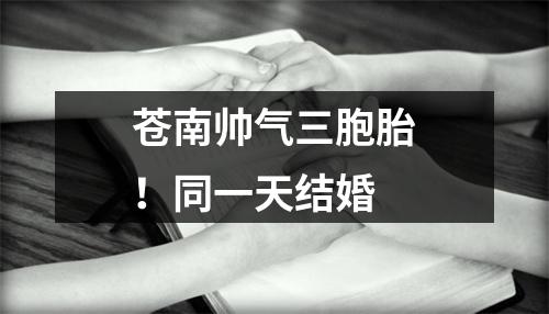 苍南帅气三胞胎！同一天结婚