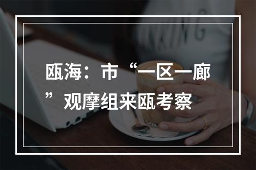 瓯海：市“一区一廊”观摩组来瓯考察