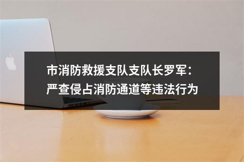 市消防救援支队支队长罗军：严查侵占消防通道等违法行为