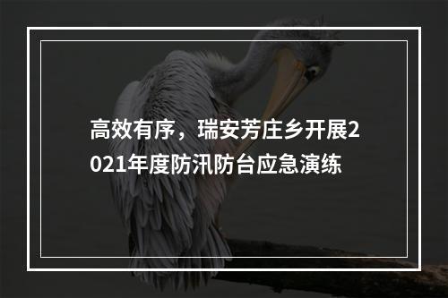 高效有序，瑞安芳庄乡开展2021年度防汛防台应急演练