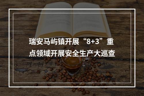 瑞安马屿镇开展“8+3”重点领域开展安全生产大巡查