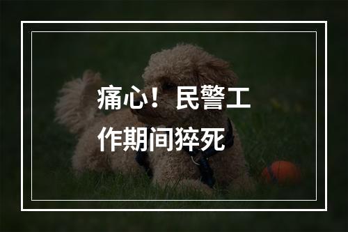 痛心！民警工作期间猝死