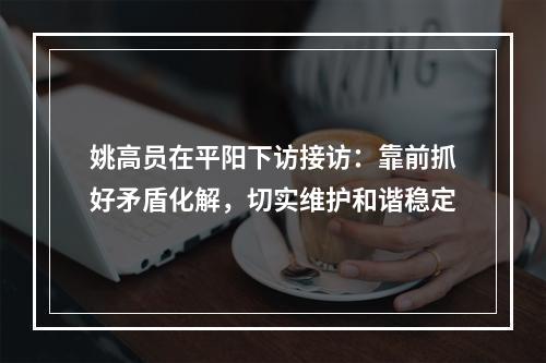 姚高员在平阳下访接访：靠前抓好矛盾化解，切实维护和谐稳定