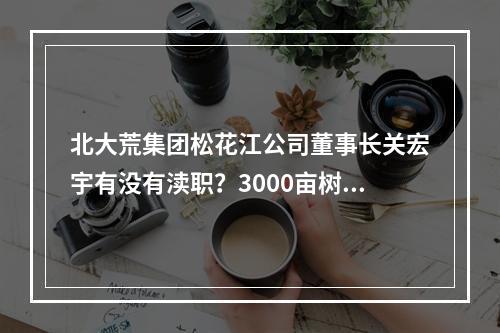 北大荒集团松花江公司董事长关宏宇有没有渎职？3000亩树莓被毁！