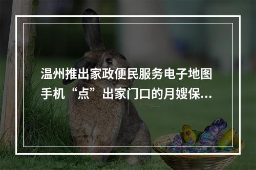 温州推出家政便民服务电子地图 手机“点”出家门口的月嫂保姆