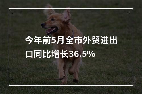 今年前5月全市外贸进出口同比增长36.5%