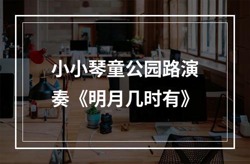 小小琴童公园路演奏《明月几时有》