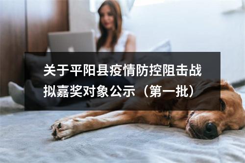 关于平阳县疫情防控阻击战拟嘉奖对象公示（第一批）