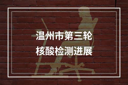 温州市第三轮核酸检测进展
