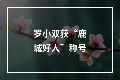 罗小双获“鹿城好人”称号
