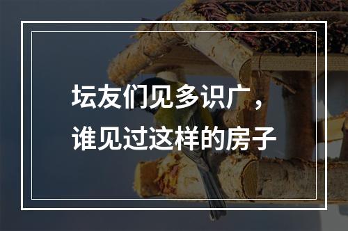 坛友们见多识广，谁见过这样的房子