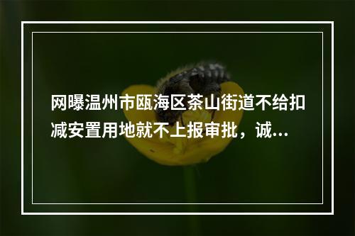 网曝温州市瓯海区茶山街道不给扣减安置用地就不上报审批，诚信何在？