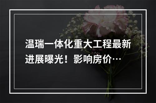 温瑞一体化重大工程最新进展曝光！影响房价…