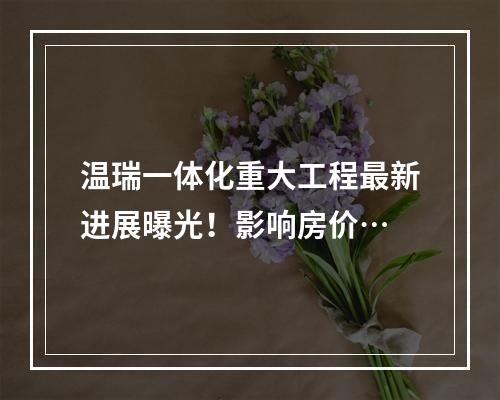 温瑞一体化重大工程最新进展曝光！影响房价…