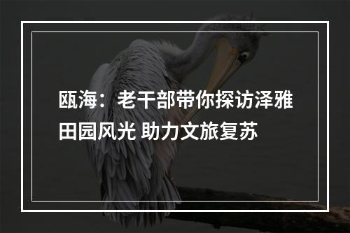 瓯海：老干部带你探访泽雅田园风光 助力文旅复苏