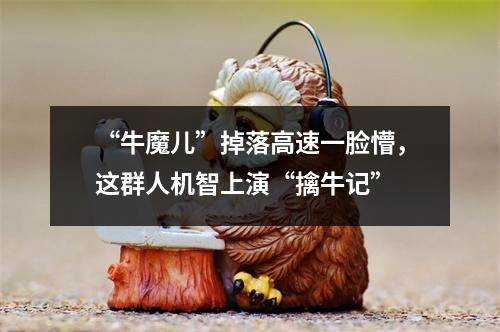 “牛魔儿”掉落高速一脸懵，这群人机智上演“擒牛记”