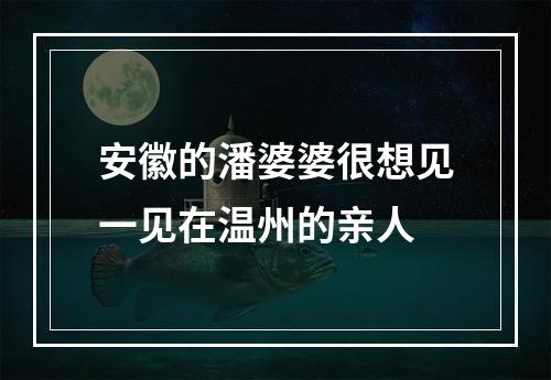 安徽的潘婆婆很想见一见在温州的亲人