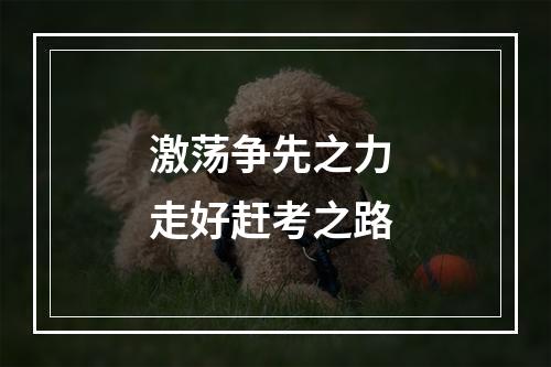 激荡争先之力 走好赶考之路