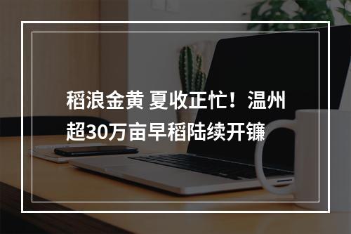 稻浪金黄 夏收正忙！温州超30万亩早稻陆续开镰