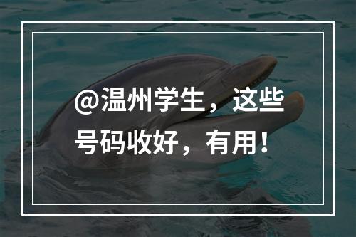 @温州学生，这些号码收好，有用！