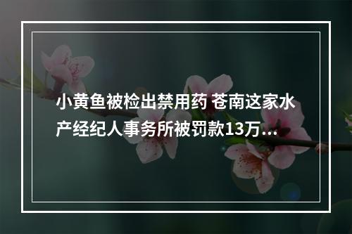 小黄鱼被检出禁用药 苍南这家水产经纪人事务所被罚款13万元