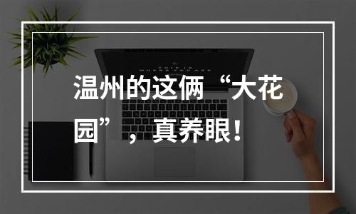 温州的这俩“大花园”，真养眼！