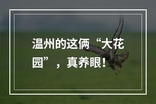 温州的这俩“大花园”，真养眼！