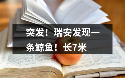 突发！瑞安发现一条鲸鱼！长7米