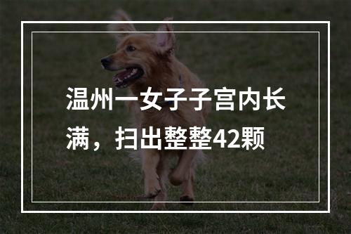 温州一女子子宫内长满，扫出整整42颗