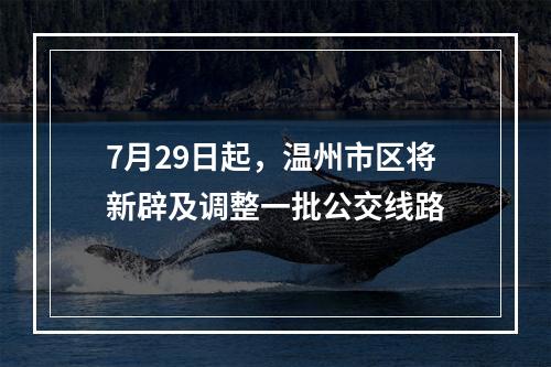 7月29日起，温州市区将新辟及调整一批公交线路