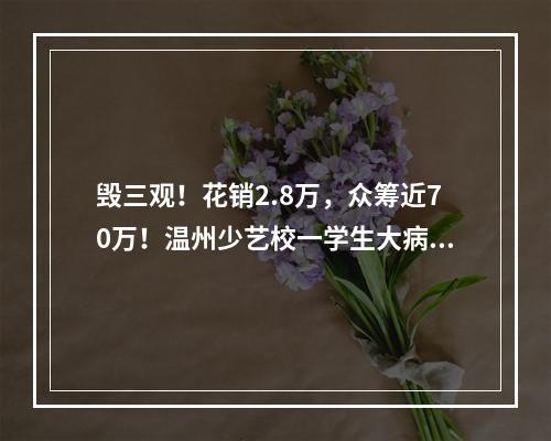 毁三观！花销2.8万，众筹近70万！温州少艺校一学生大病筹后续