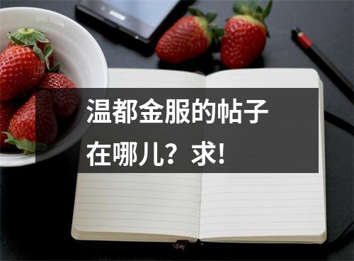 温都金服的帖子在哪儿？求!