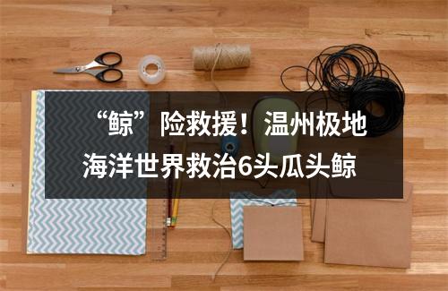 “鲸”险救援！温州极地海洋世界救治6头瓜头鲸