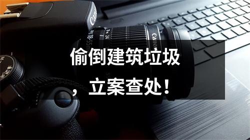 偷倒建筑垃圾，立案查处！