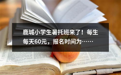 鹿城小学生暑托班来了！每生每天60元，报名时间为……