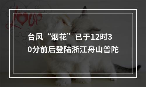 台风“烟花”已于12时30分前后登陆浙江舟山普陀