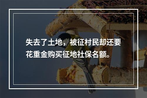 失去了土地，被征村民却还要花重金购买征地社保名额。